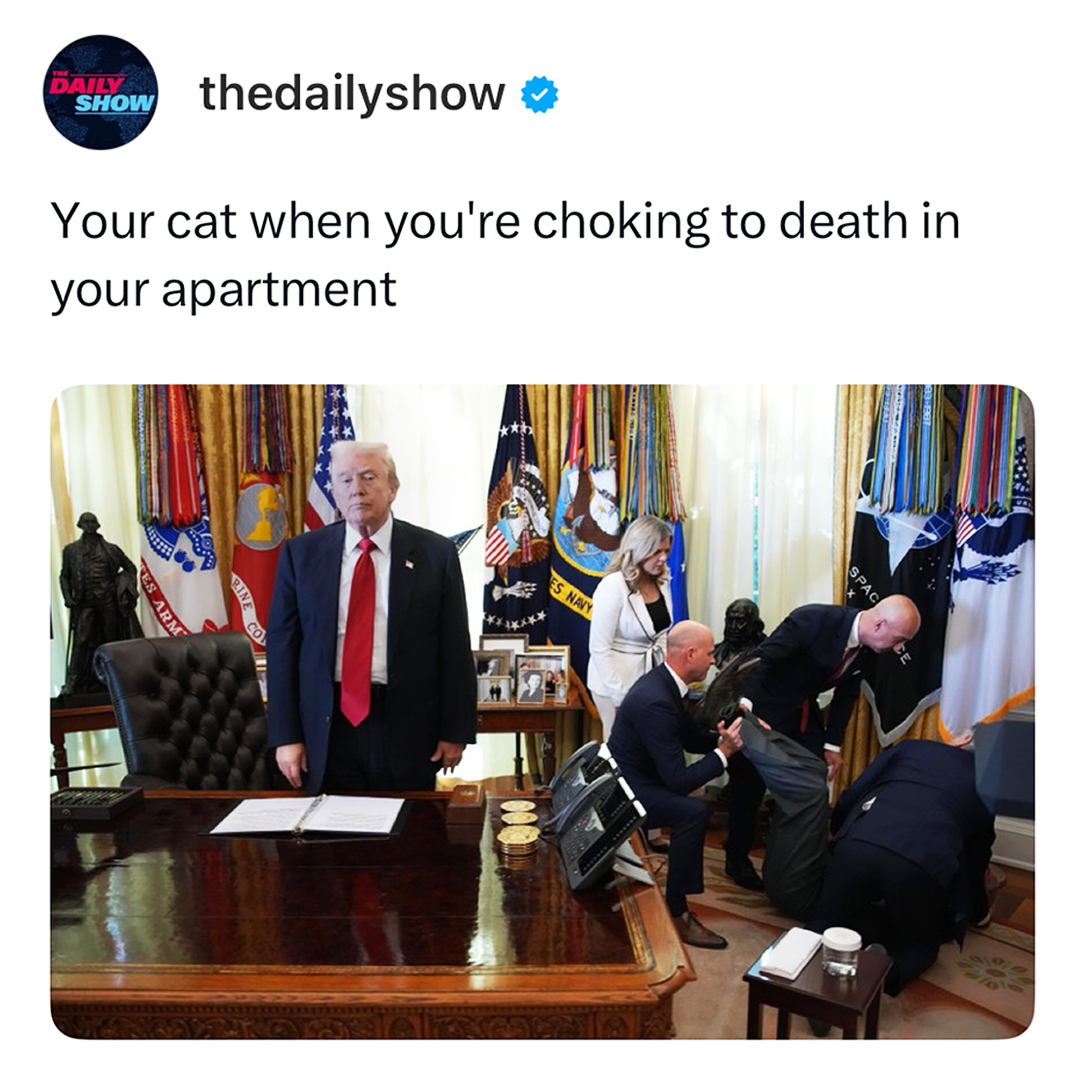 your-cat-when-youre-choking-to-death