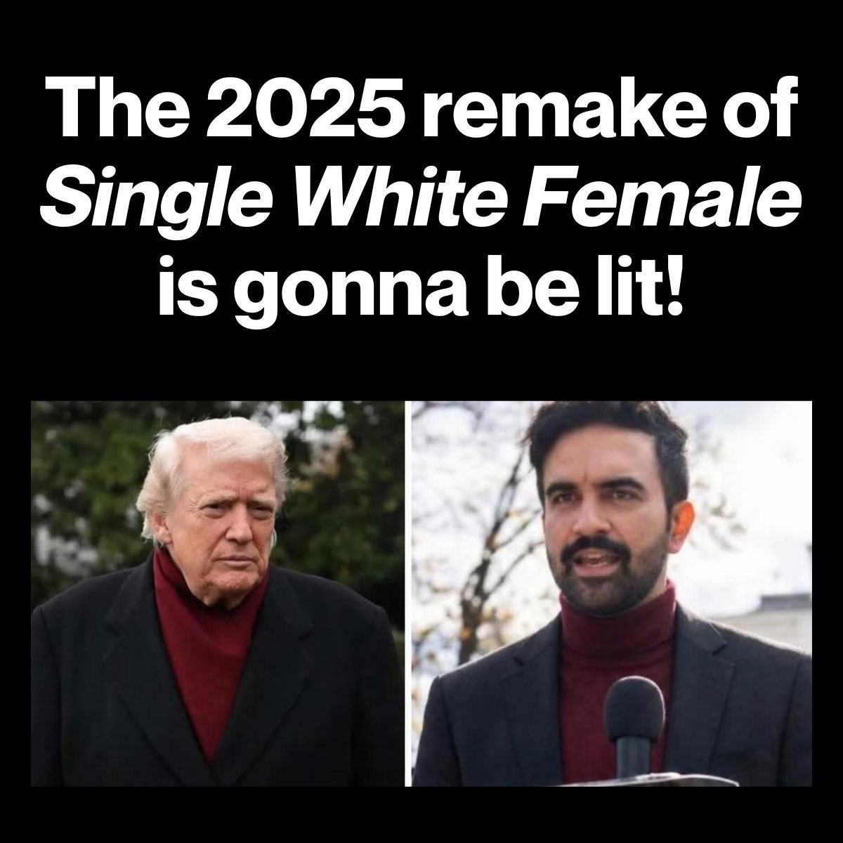 2025-remake-of-single-white-female