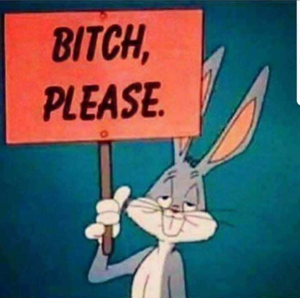 bitch-please