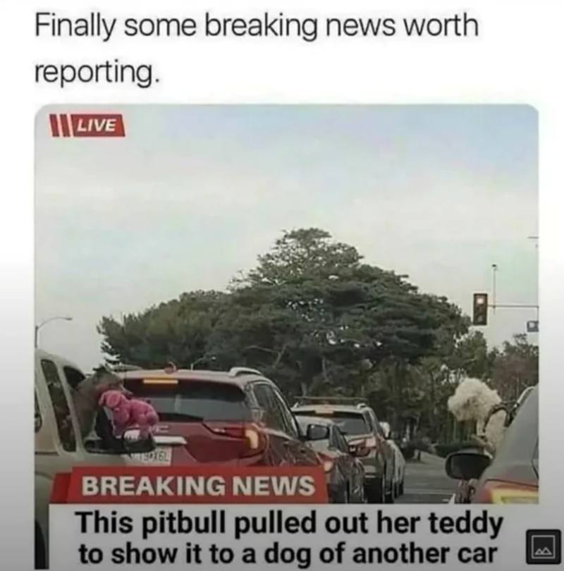 breaking-news-worth-reporting