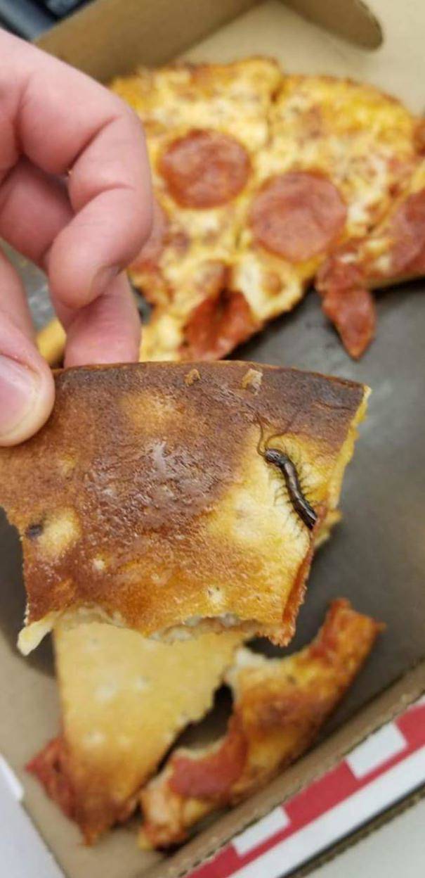 centipedes-in-my-pizza