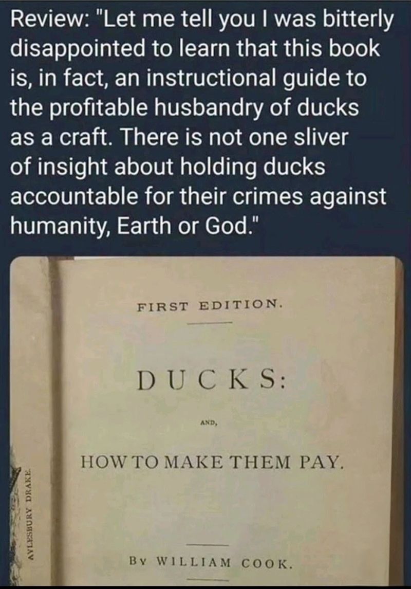 ducks-how-to-make-them-pay