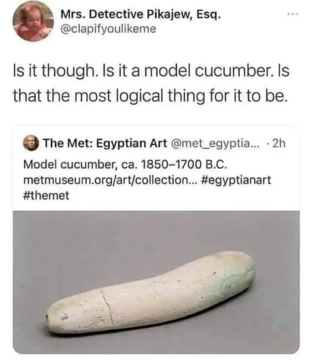 is-it-a-model-cucumber