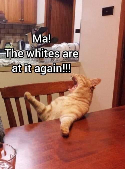 ma-the-whites-are-at-it-again
