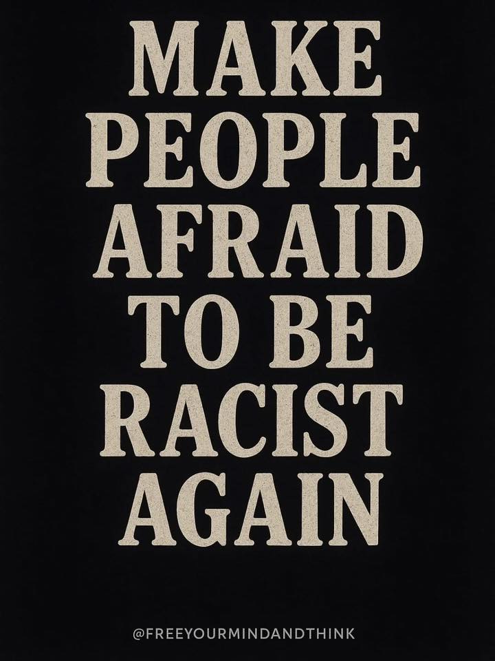 make-people-afriad-to-be-racist-again
