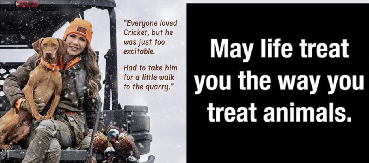 may-life-treat-you-the-way-you-treat-animals