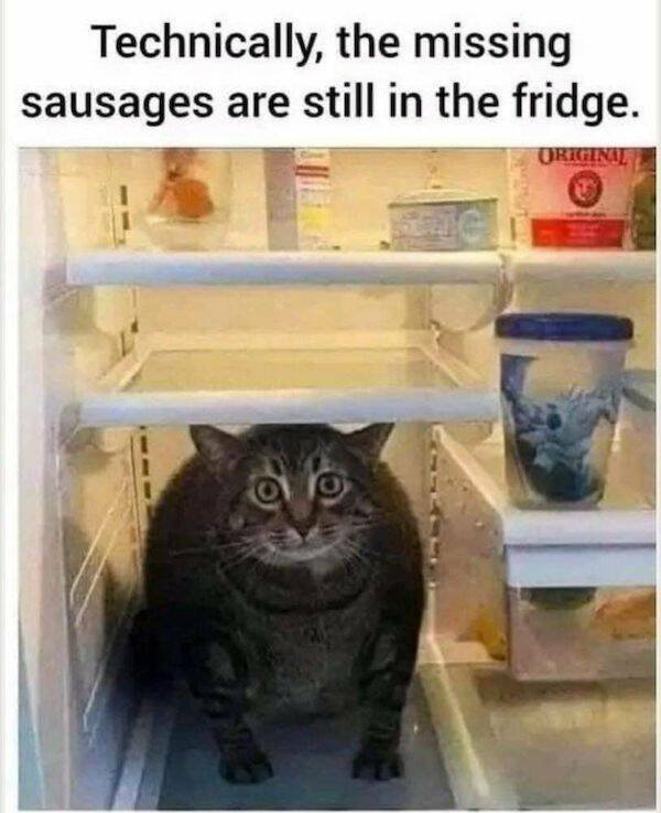 missing-sausages-are-still-in-the-fridge