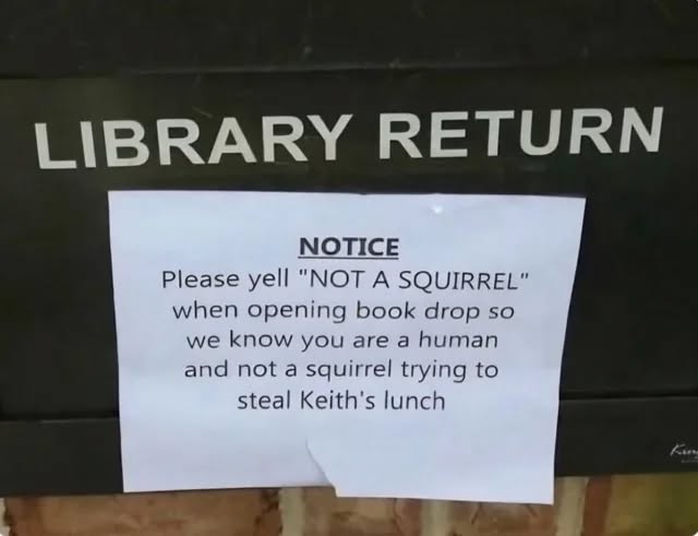 pleas-eyell-not-a-squirrel