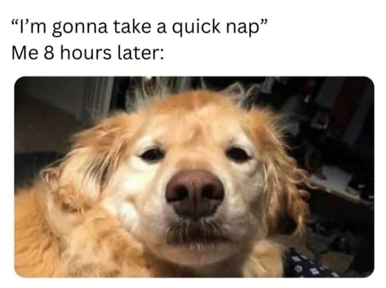 quick-nap