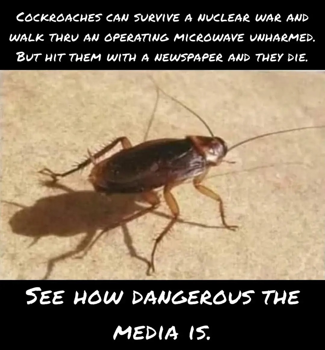 see-how-dangerous-the-media-is