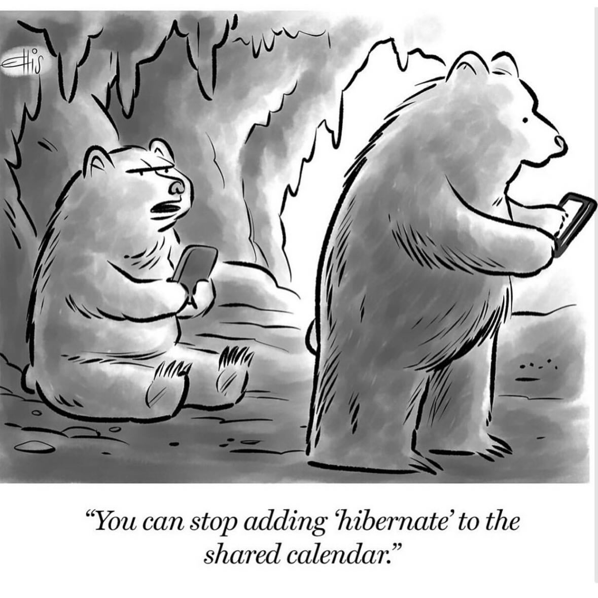 stop-adding-hibernate