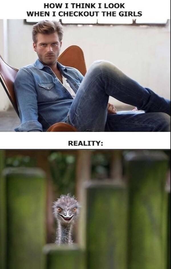 when-i-check-out-the-girls