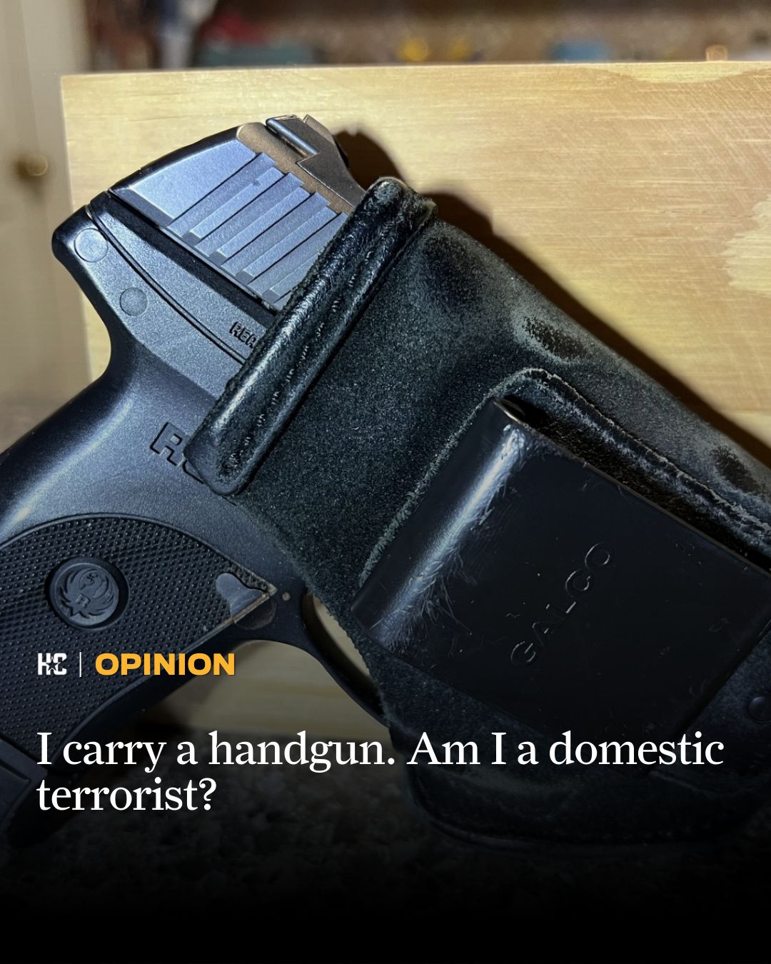 am-i-a-domestic-terrorist