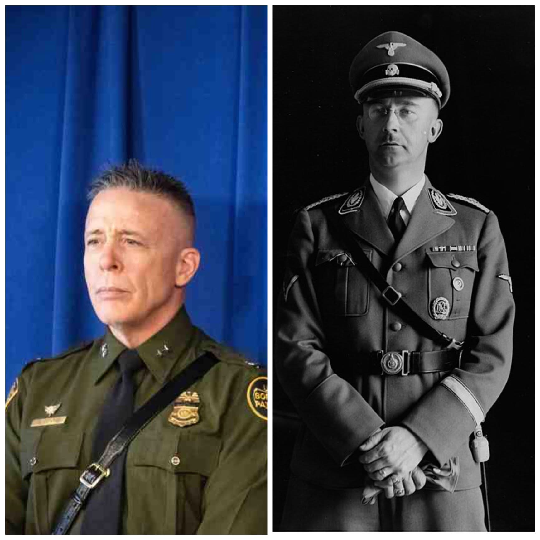 bovino-and-archetype