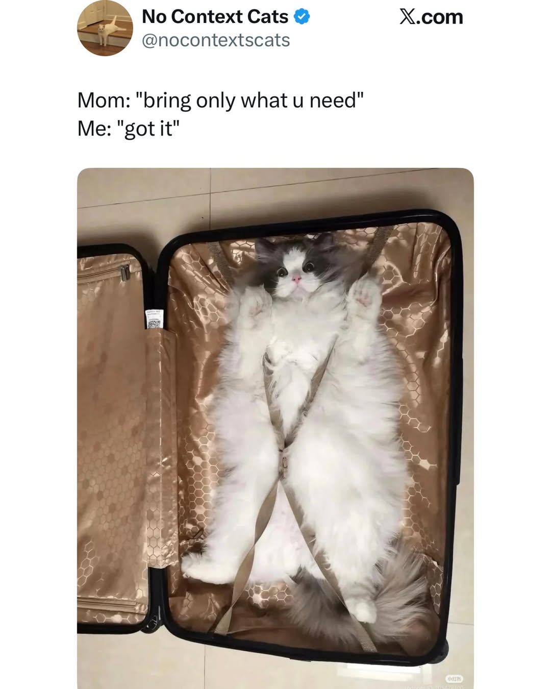 bring-only-what-you-need