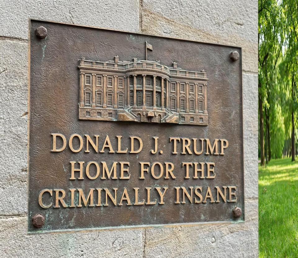 donald-j-trump-home-for-the-criminally-insane
