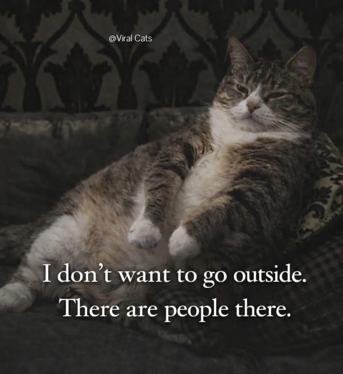 dont-want-to-go-outside