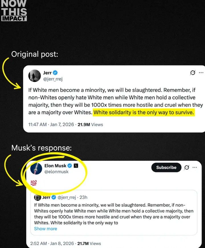 elon-musk-and-the-white-solidarity-post