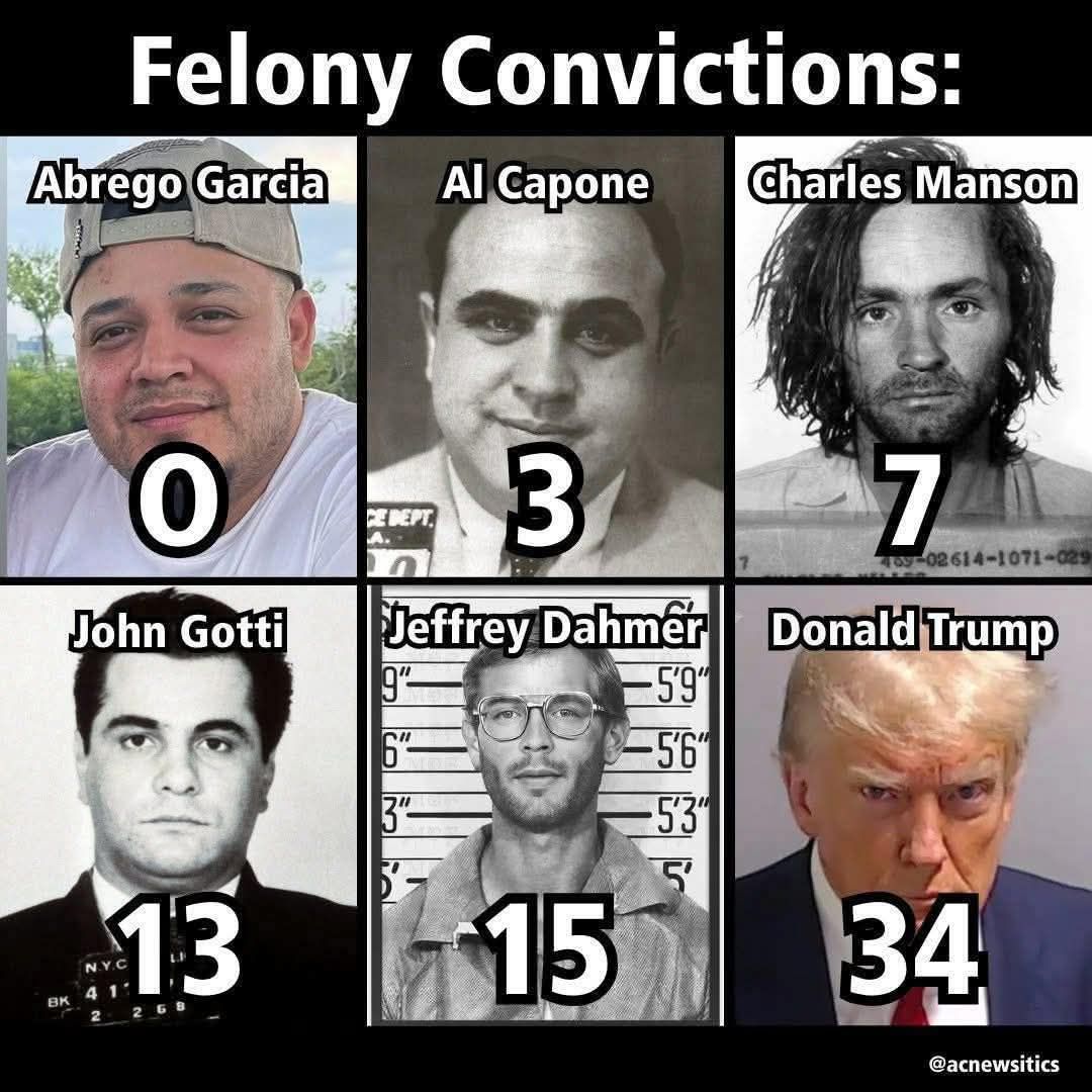 felony-conviction-count