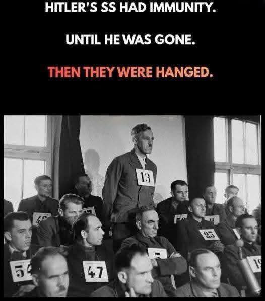 hitlers-ss-had-immunity-until-he-was-gone