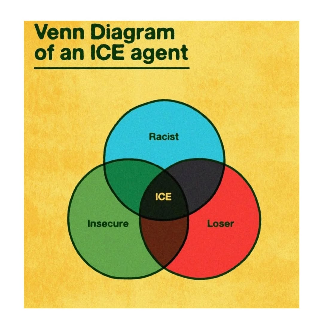 ice-agent-venn-diagram