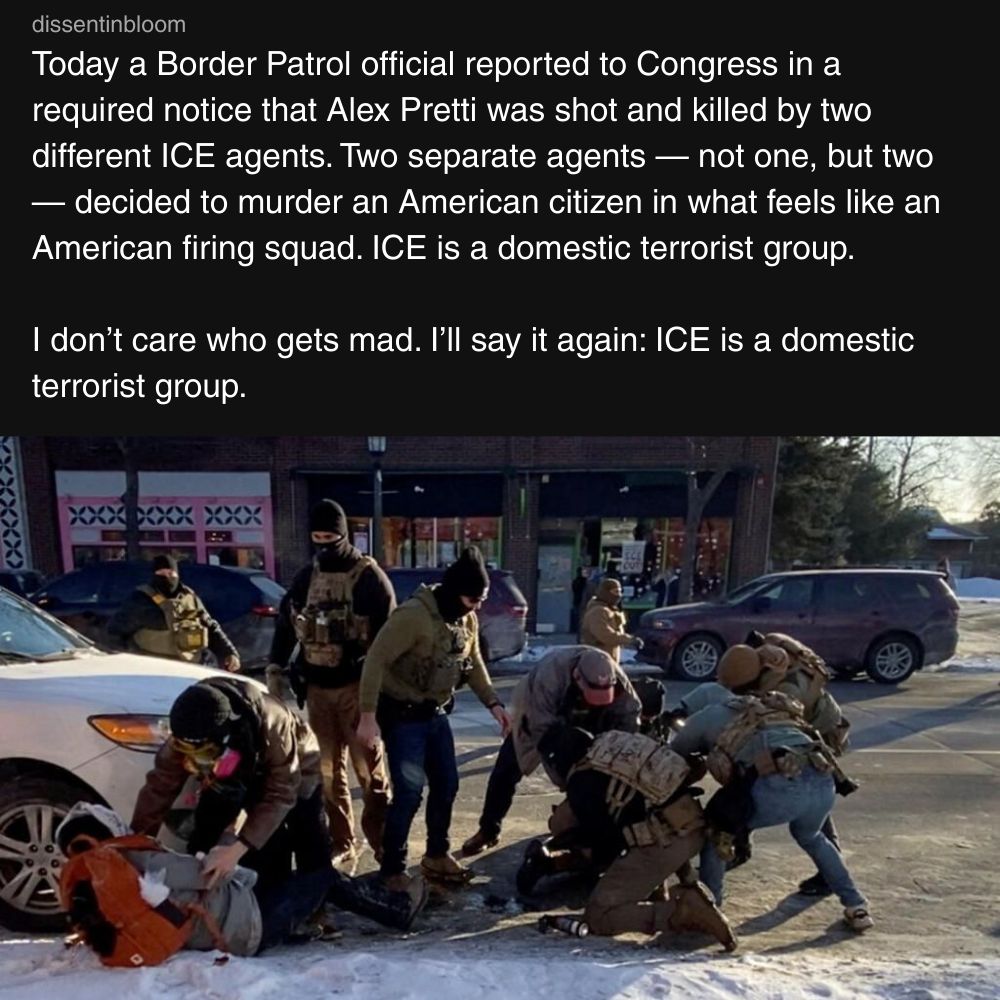 ice-is-a-domestic-terrorist-group