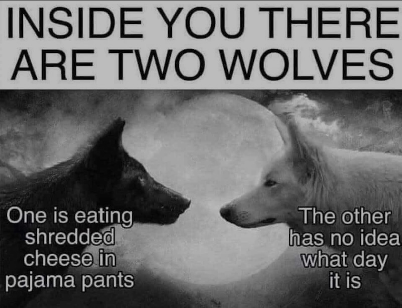 inside-you-there-are-two-wolves