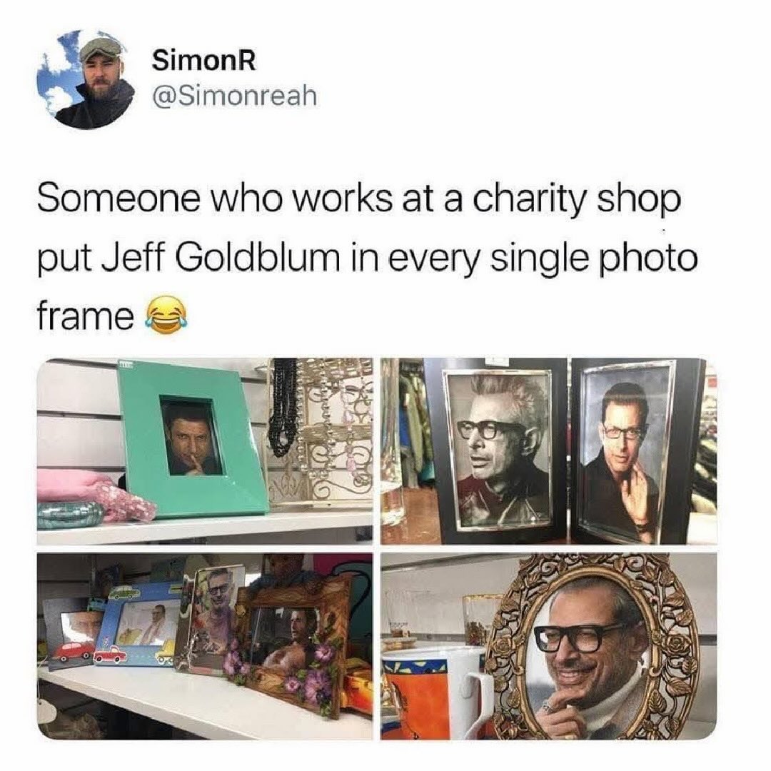 jeff-goldblum-in-every-frame