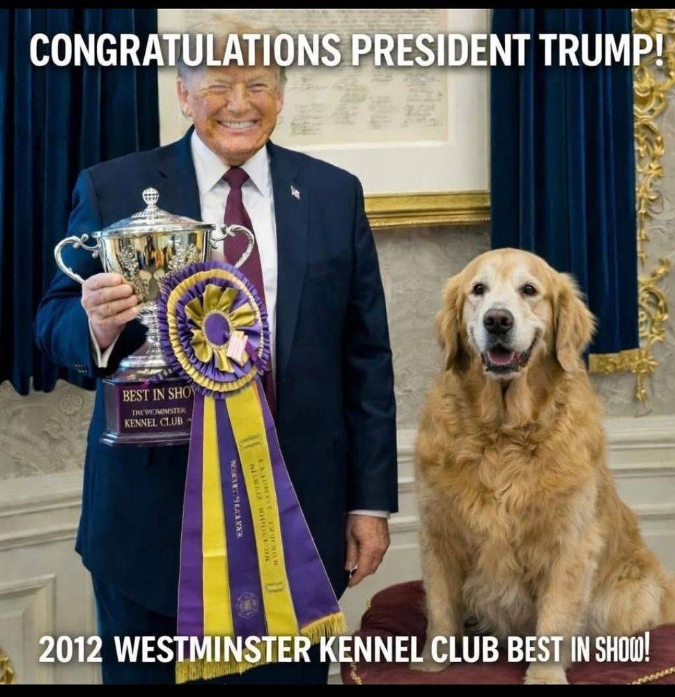kennel-club-best-in-show