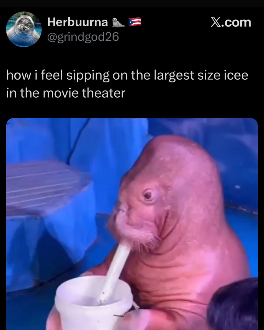 largest-icee
