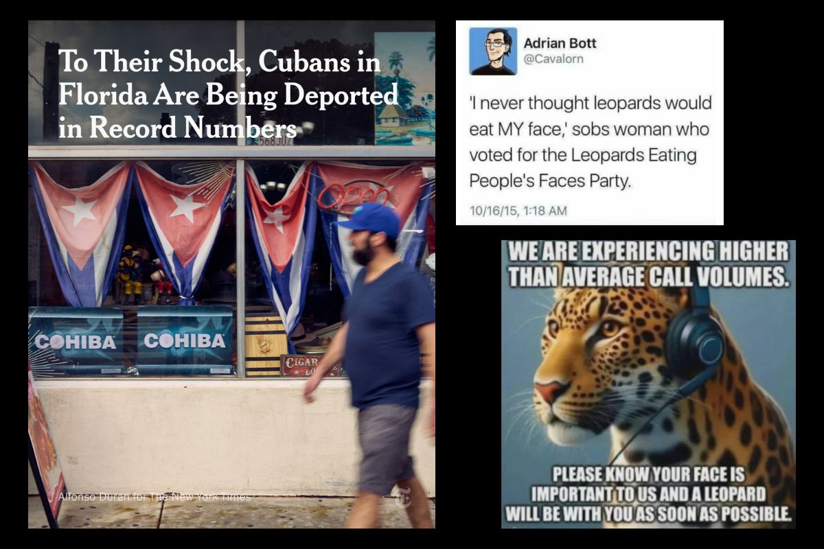 leopards-eating-faces