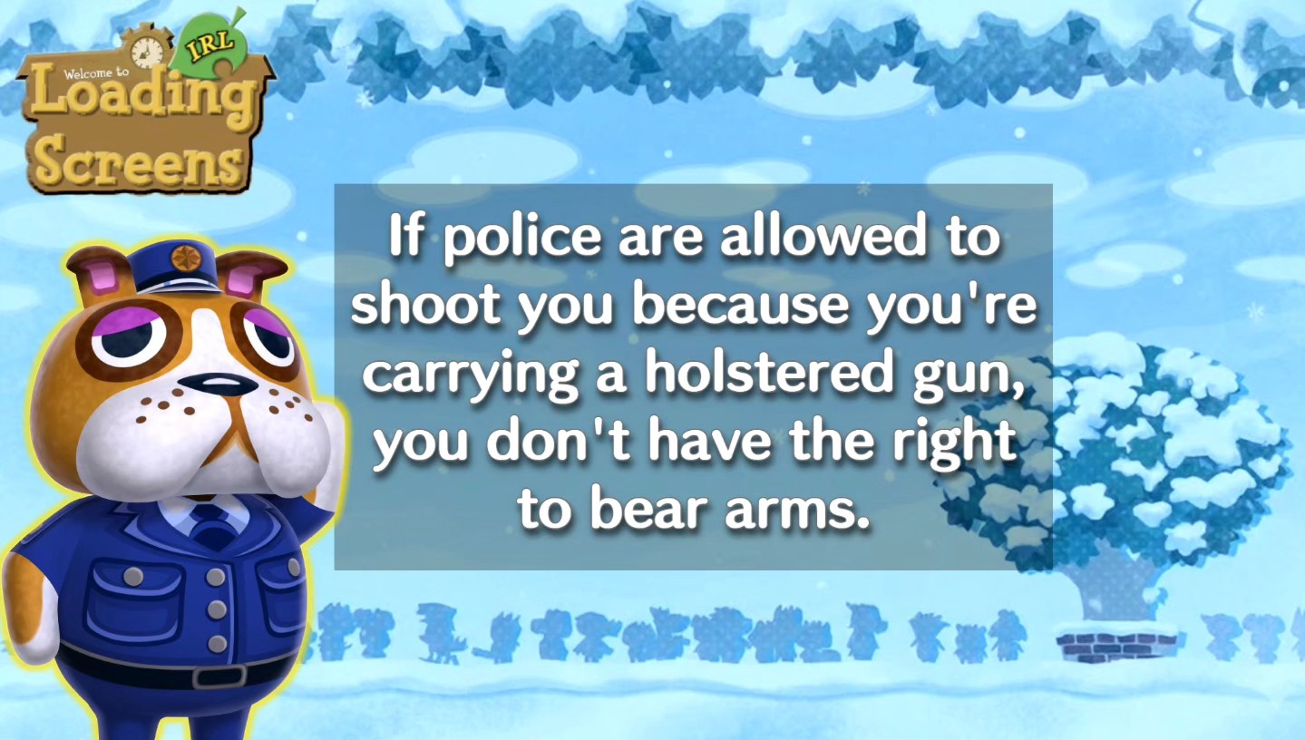 no-right-to-bear-arms