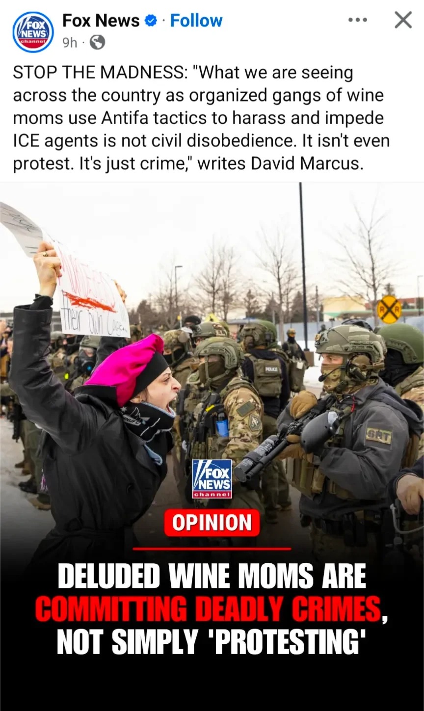 organized-gangs-of-wine-moms