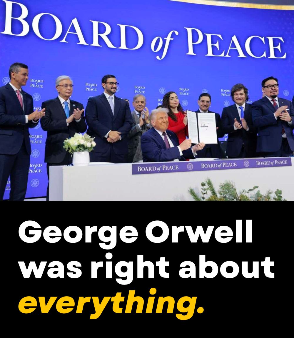 orwell-was-right-about-everything