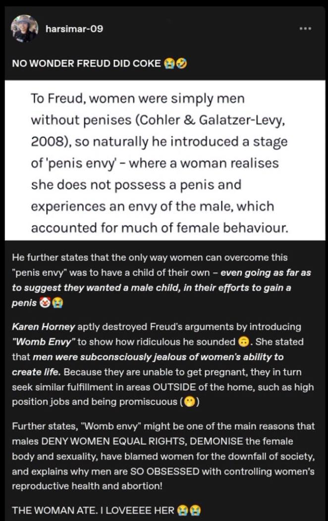 penis-envy-womb-envy