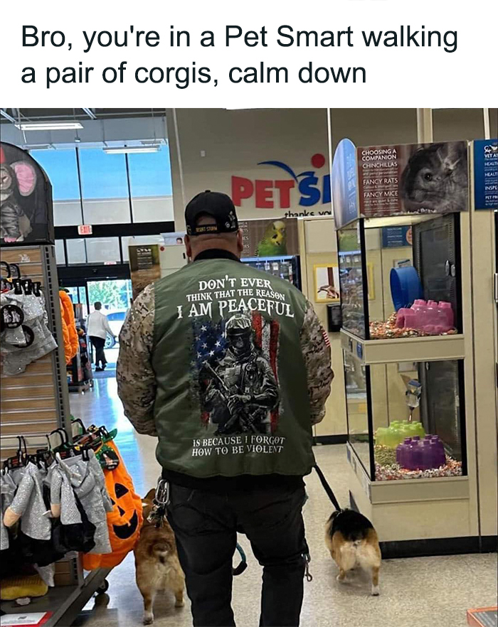 pet-smart-violent