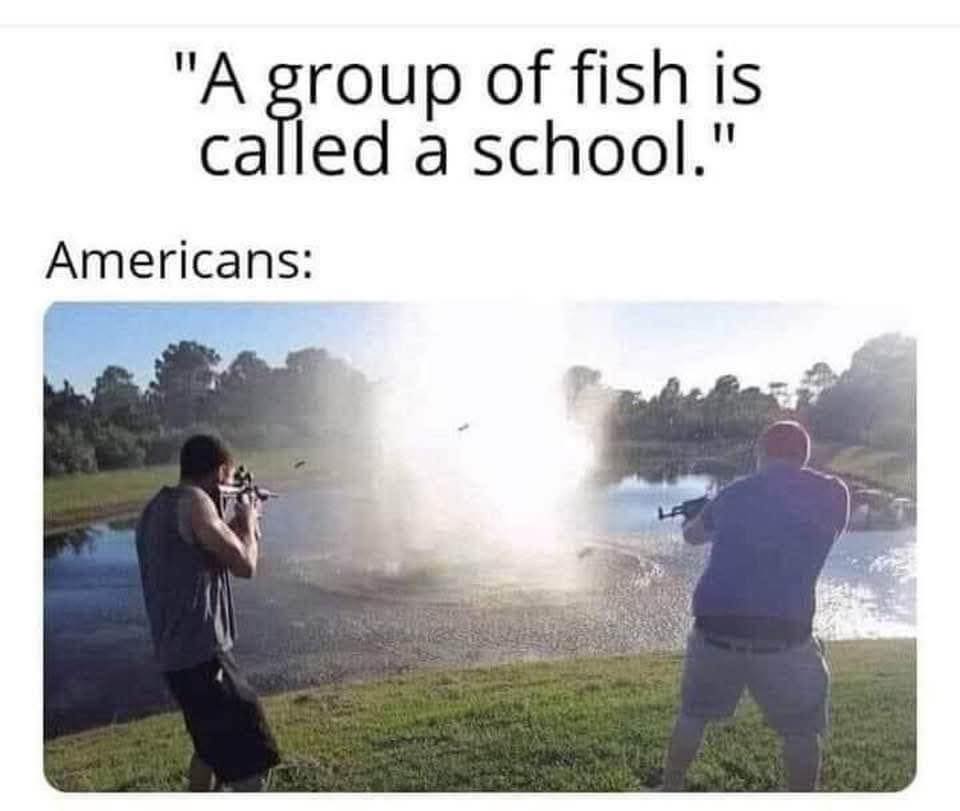 school-of-fish