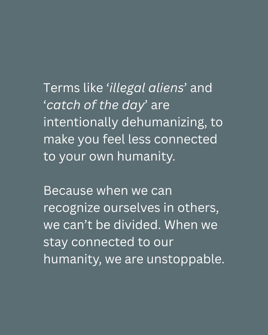 terms-like-catch-of-the-day