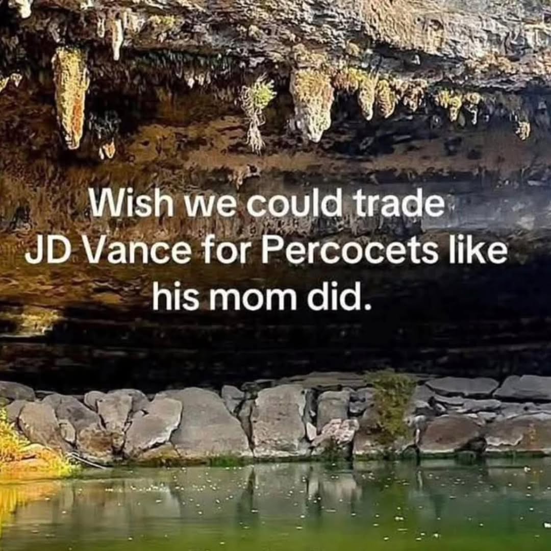 wish-we-could-trade-jd-vance-for-percocets