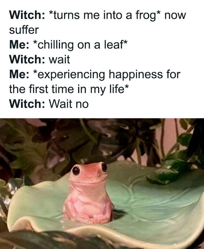witch-turns-me-into-frog