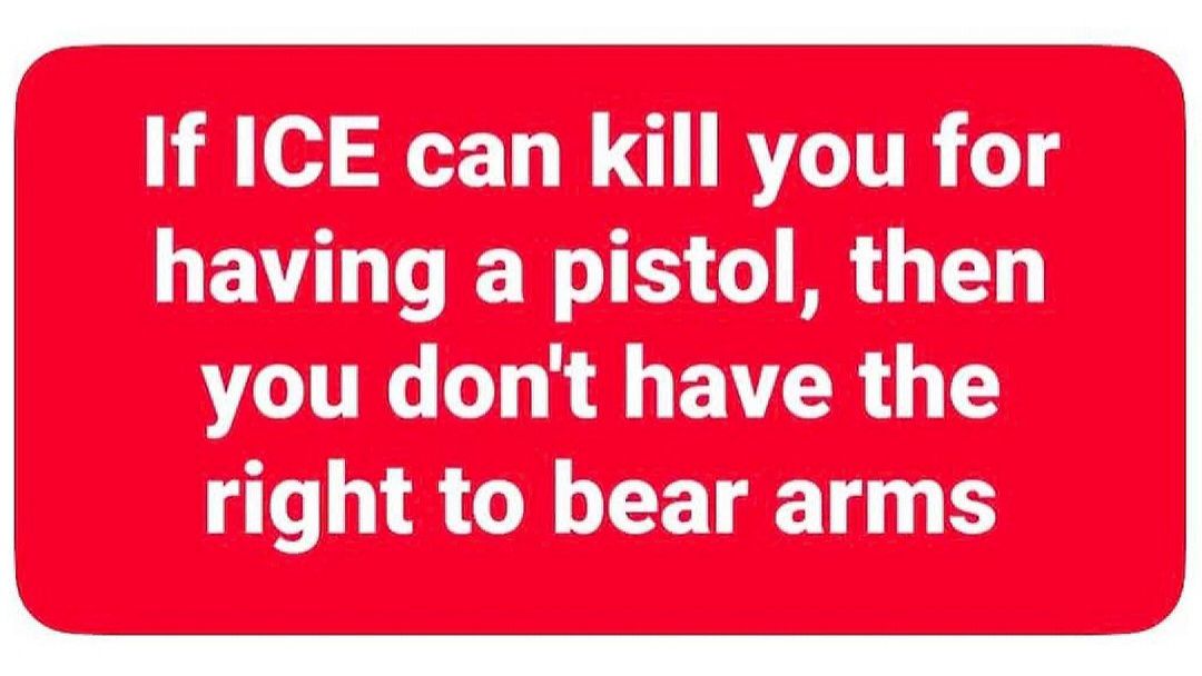 you-dont-have-the-right-to-bear-arms