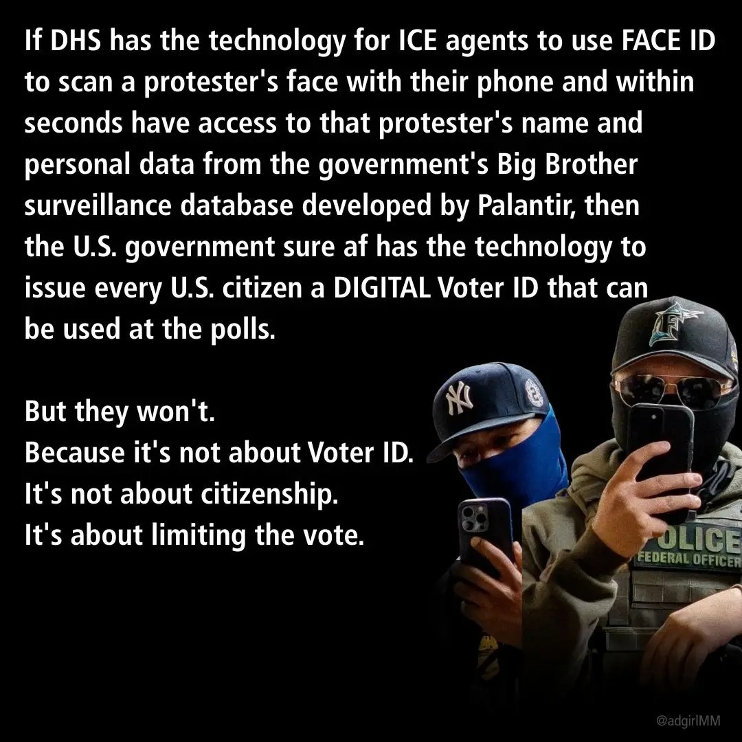 about-limiting-the-vote