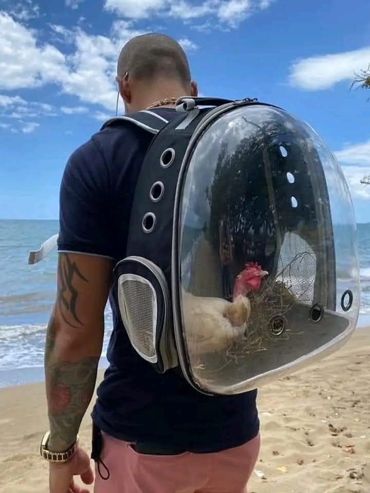 beach-backpack-chicken