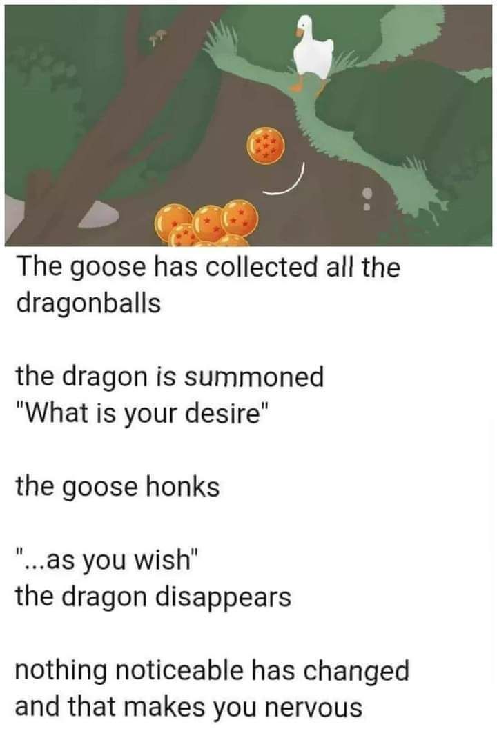 goose-has-collected-all-the-dragonballs