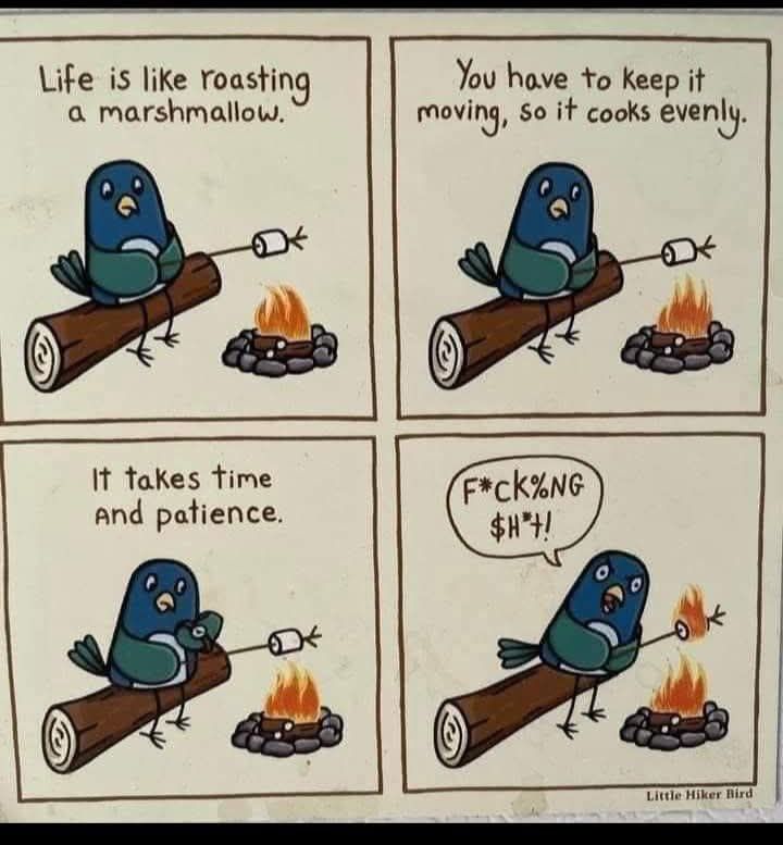 life-is-like-roasting-a-marshmallow