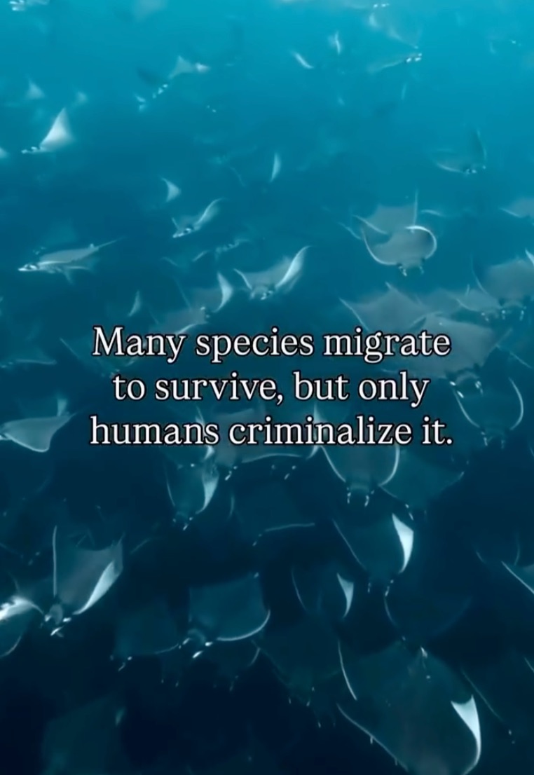 many_species_migrate_to_survive