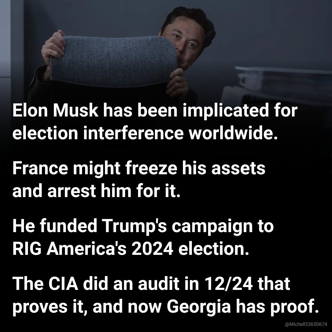musk-election-interference