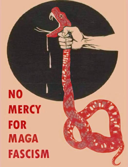 no-mercy-for-maga-fascism