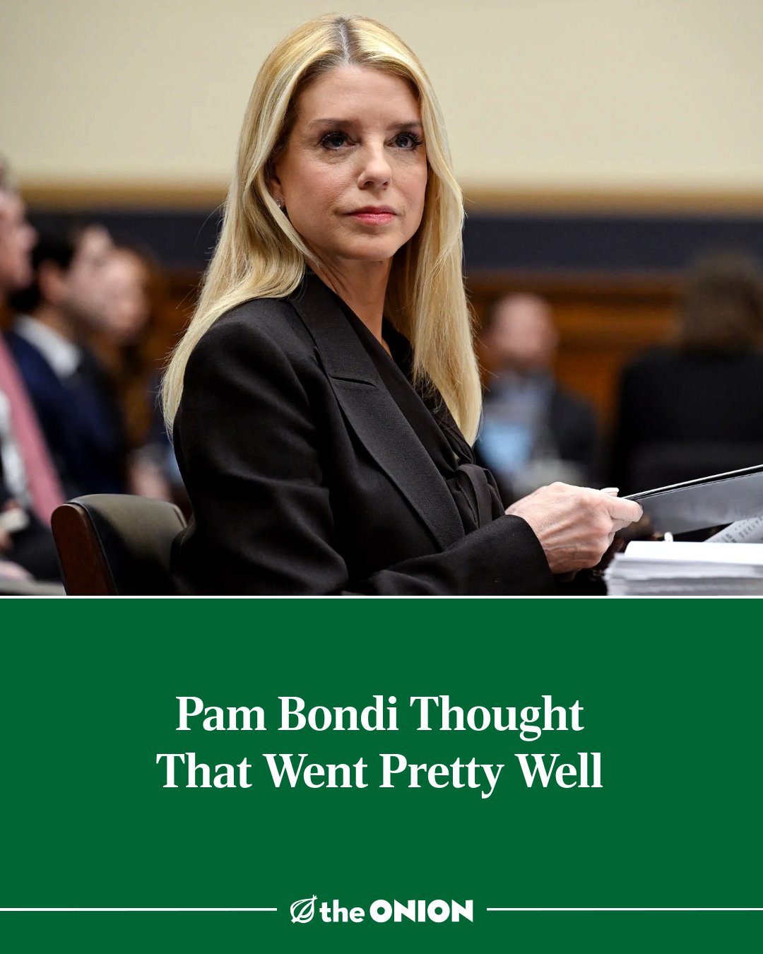 pam-bondi-thought-that-went-pretty-well