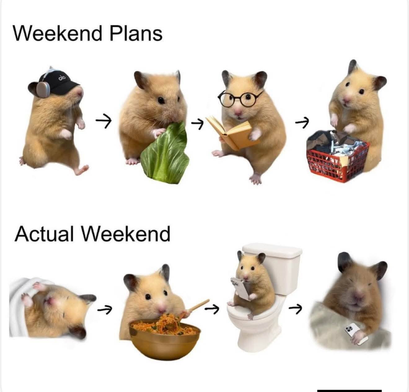 weekend-plans-actual-weekend